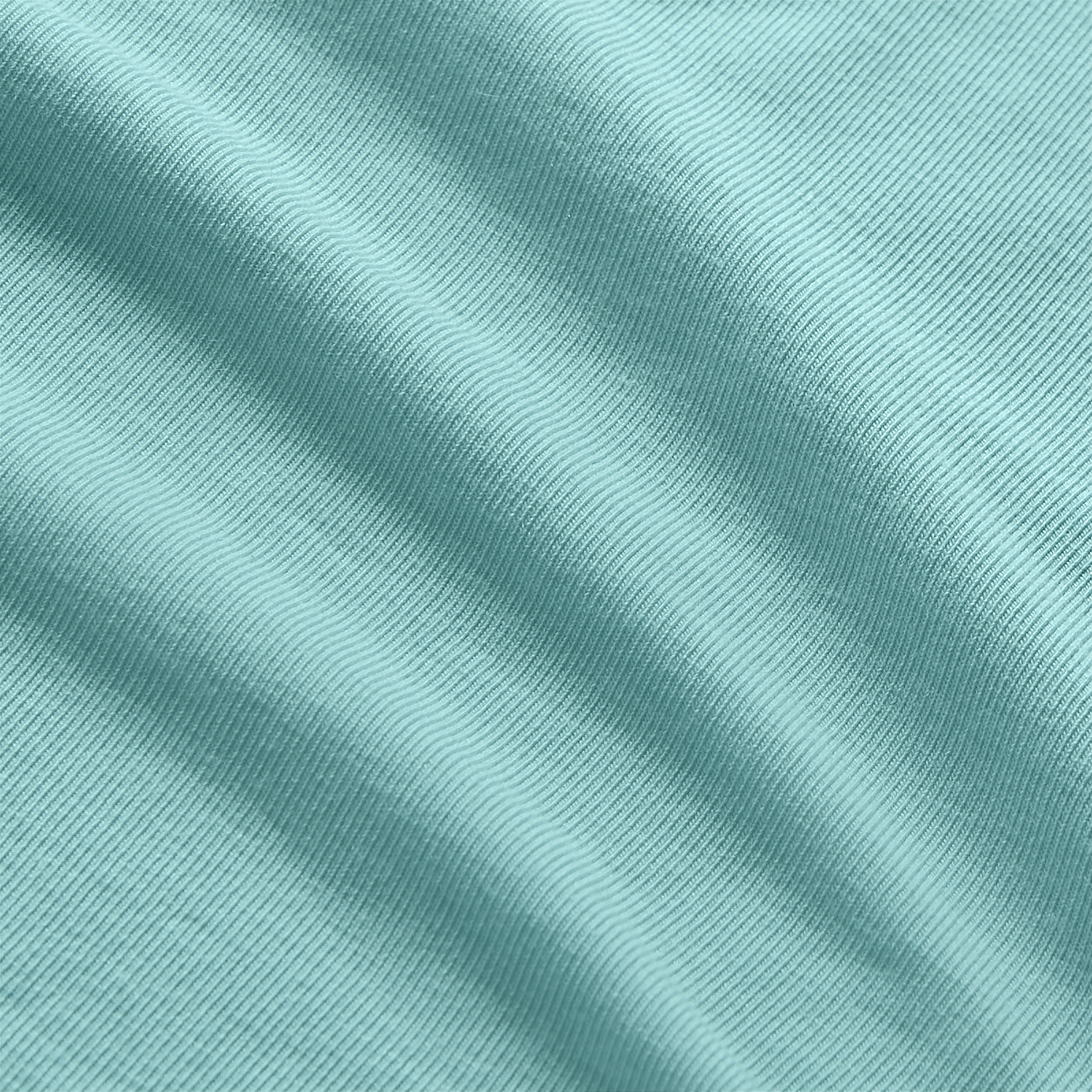 Aqua Heather Macro Detail Shot.