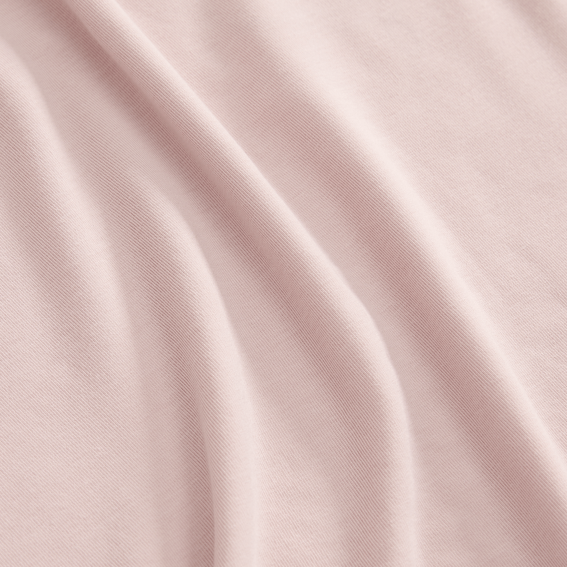 Dusty Rose Macro Detail Angle.