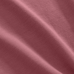 Shadow Rose Macro Detail Shot.
