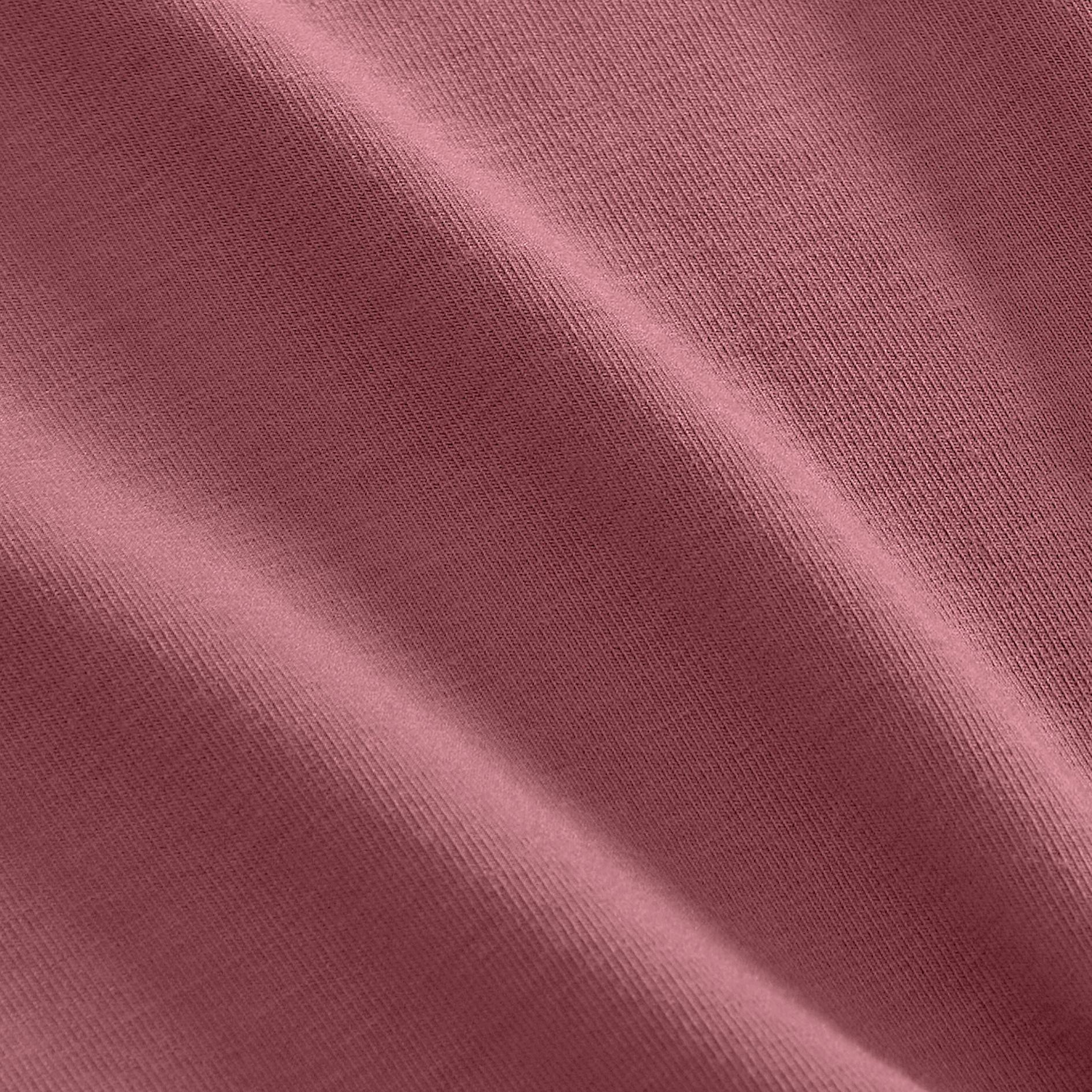 Shadow Rose Macro Detail Shot.